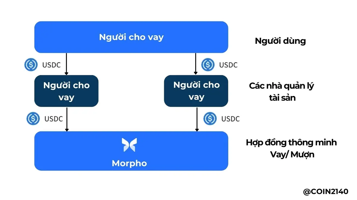 Research_2_Morpho là gì (1).webp