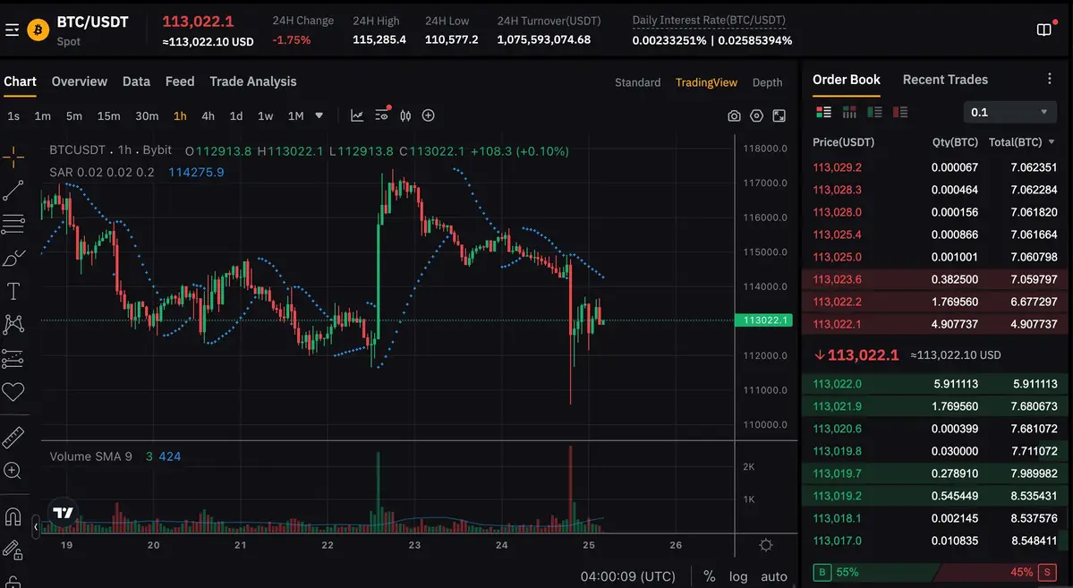 Bitcoin giá 113.000.webp