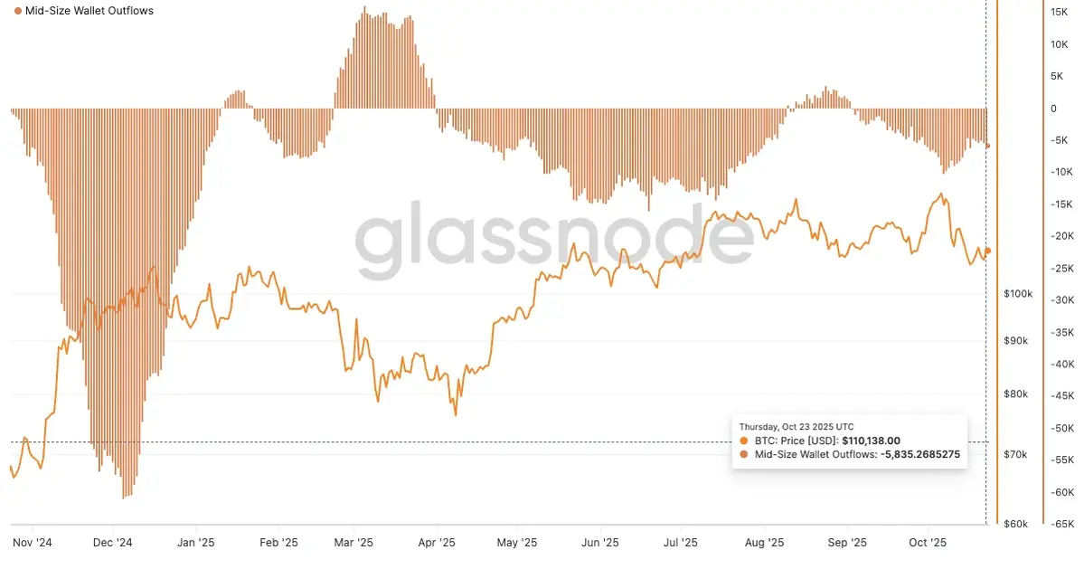 Nhóm ví 0,1–10 BTC tiếp tục dẫn đầu xu hướng bán kể từ tháng 11-2024..webp