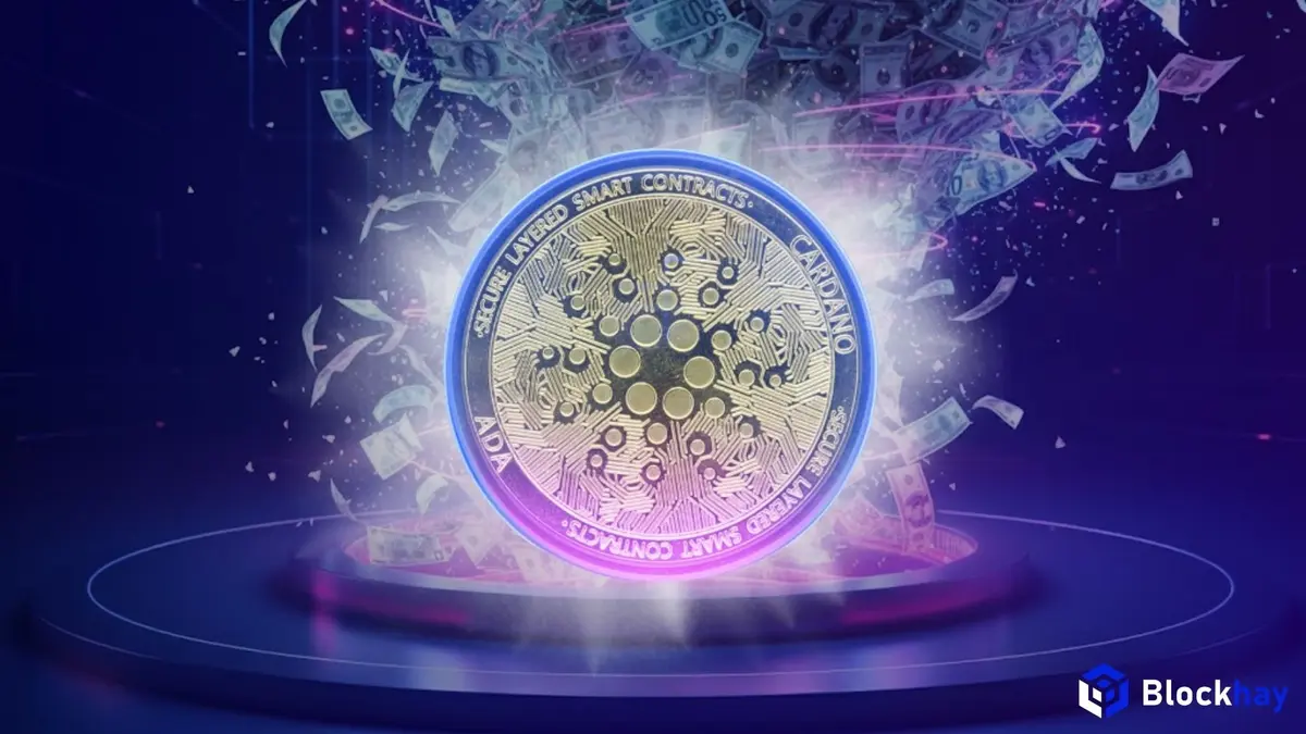 Chuyện thật như đùa Swap nhầm stablecoin, người chơi Cardano mất trắng 6 triệu USD (1) (1).webp