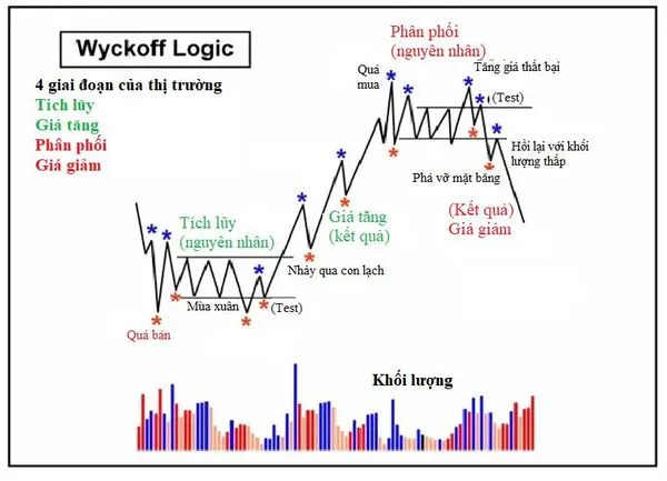 Giai đoạn thị trường.jpg