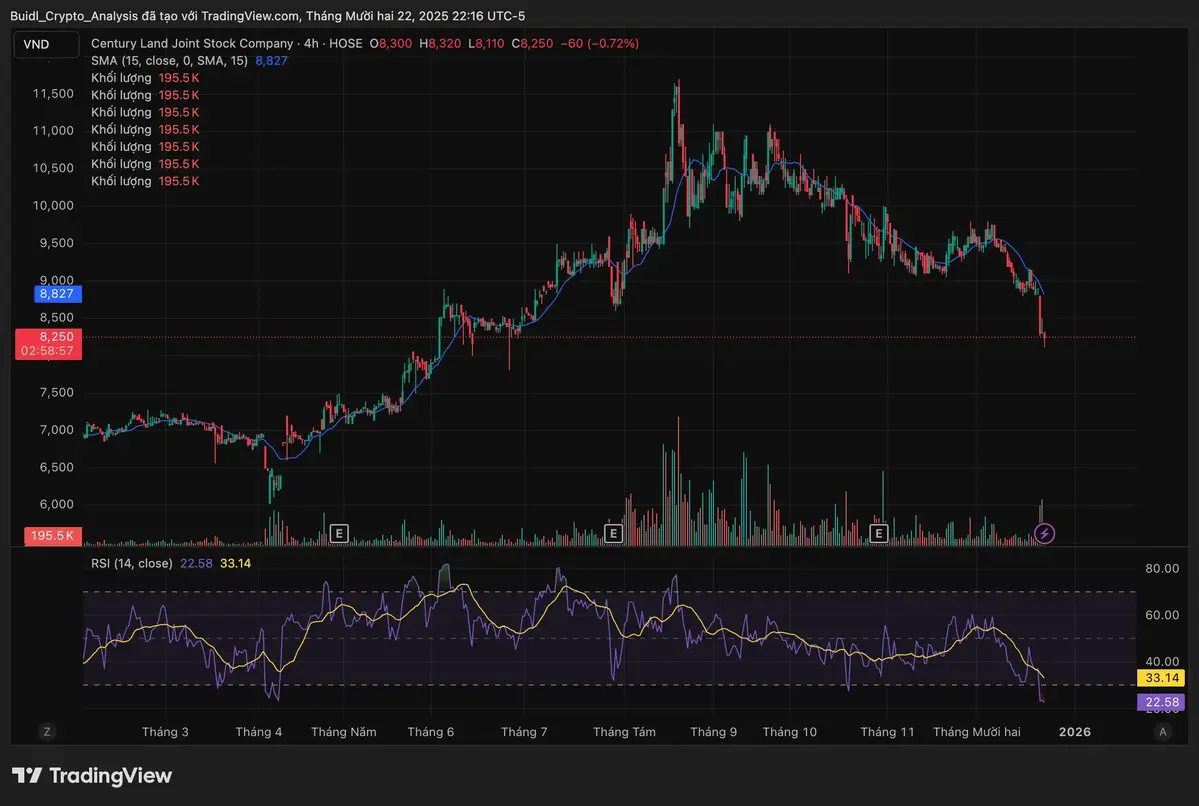 Cổ phiếu Cendland.webp