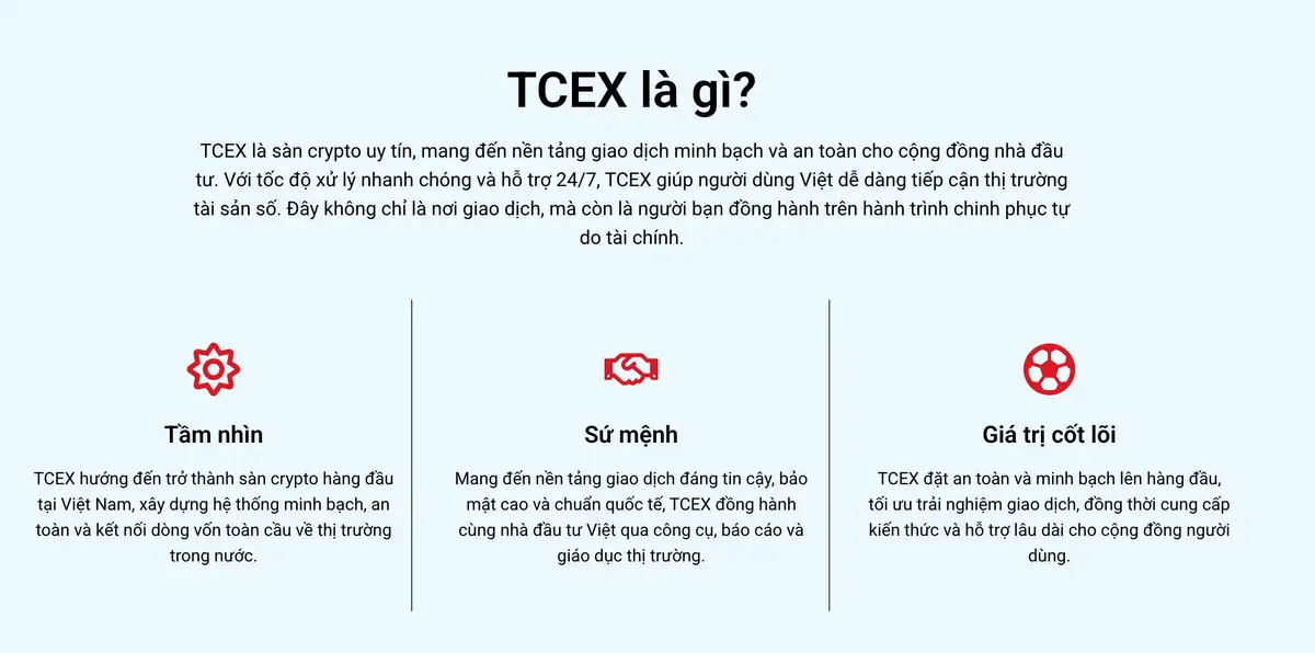 Tầm nhìn TCEX.jpg