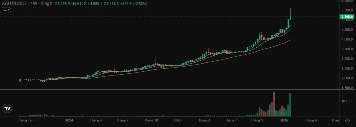 V&agrave;ng Bing X.png