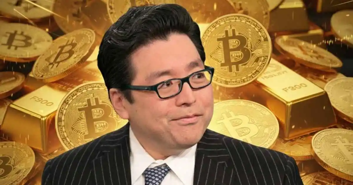 Tom Lee V&agrave;ng tiệm cận đỉnh, d&ograve;ng vốn bắt đầu quay lại Bitcoin.jpg