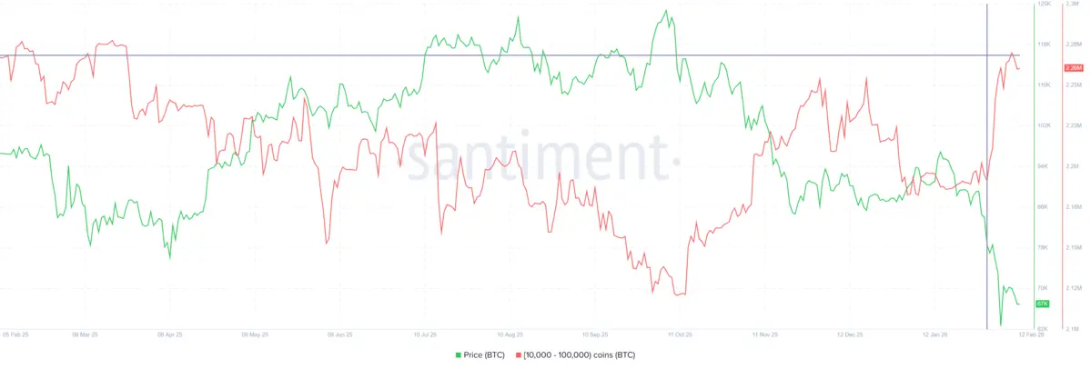 Lượng Bitcoin do cá voi nắm giữ.webp