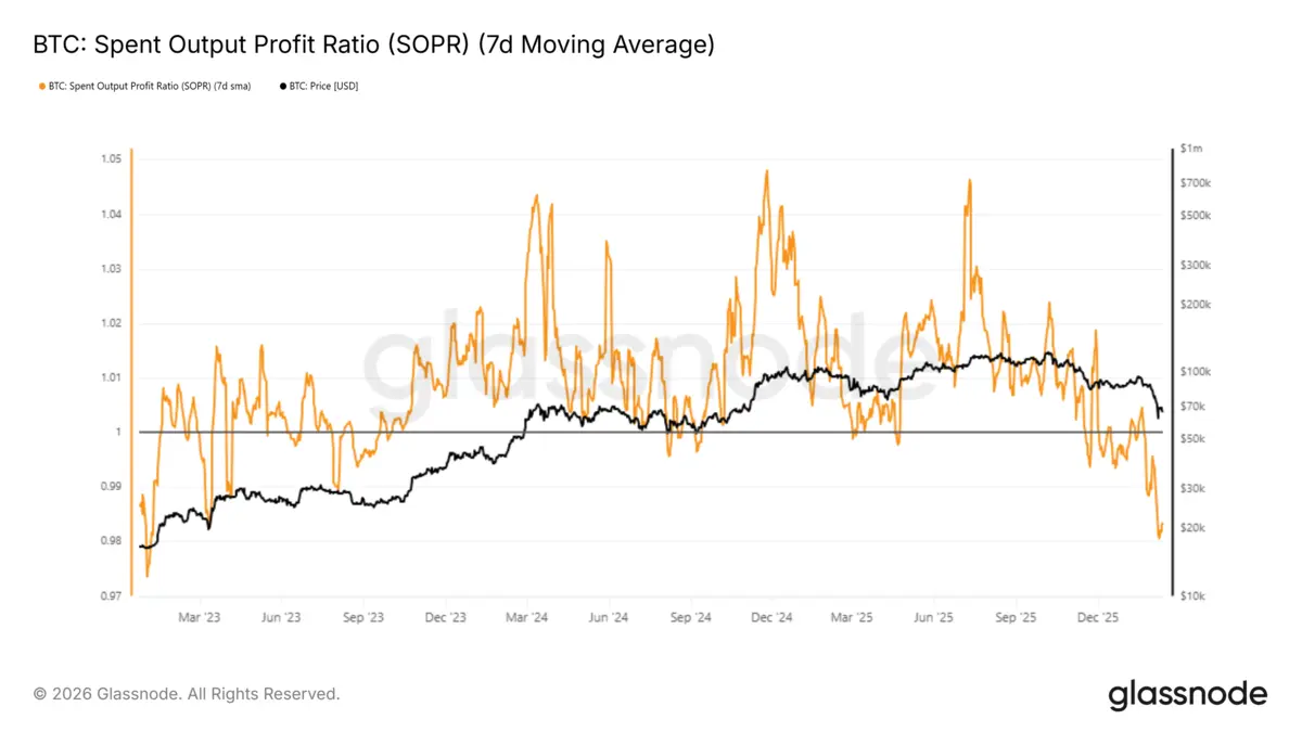 Spent Output Profit Ration.webp