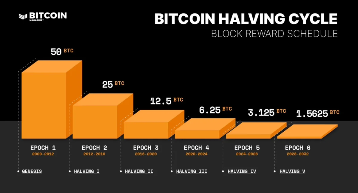 Phần thưởng khối halving bitcoin năm 2024 1,5625 BTC.jpg