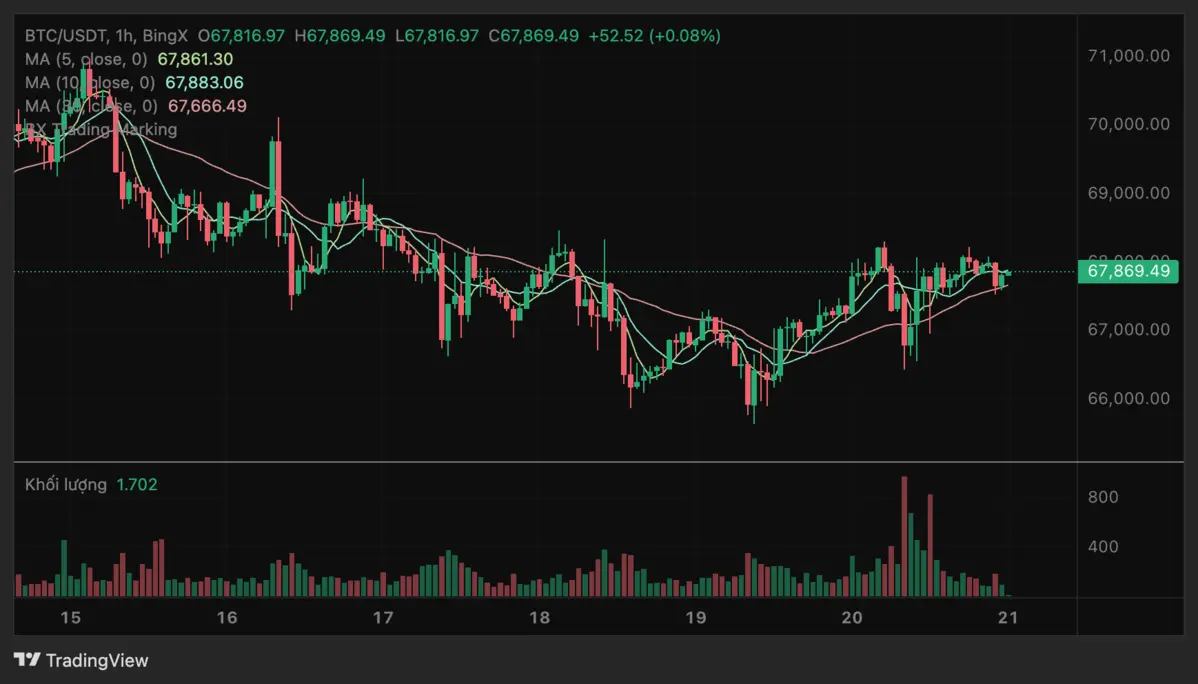 Dữ liệu BingX.png