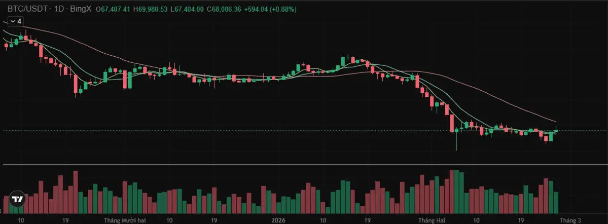 Screenshot 2026-02-26 091938.png