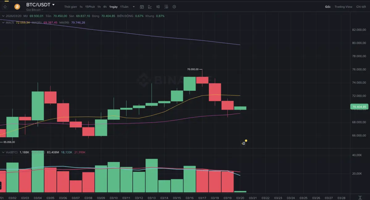 Screenshot 2026-03-20 at 08.28.30.png