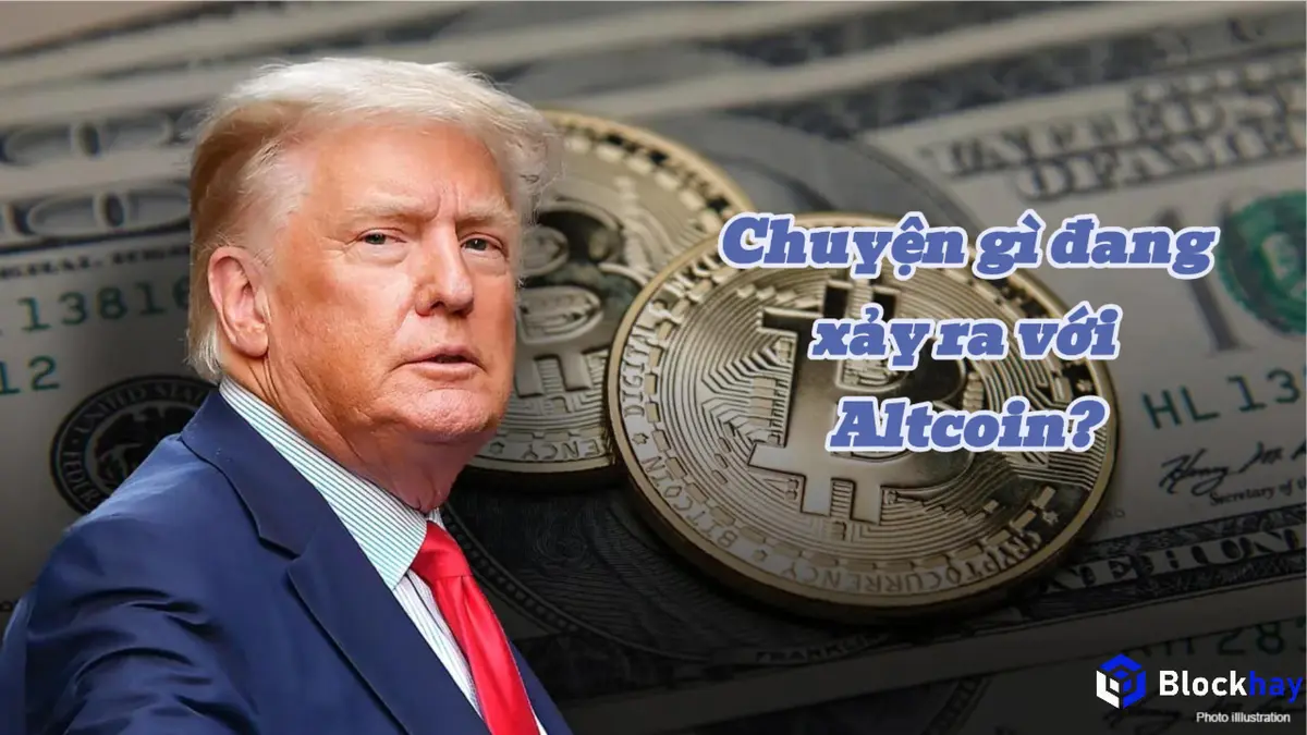 Báo cáo thị trường quý 3: Coin sàn dắt tay Bitcoin vươn lên, Altcoin "dò đáy" 123