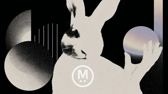 Cách "bảo toàn" lợi nhuận khi tham gia presale MegaETH trên Echo Mega-ETH-ICO-cách-giữ-lợi-nhuận