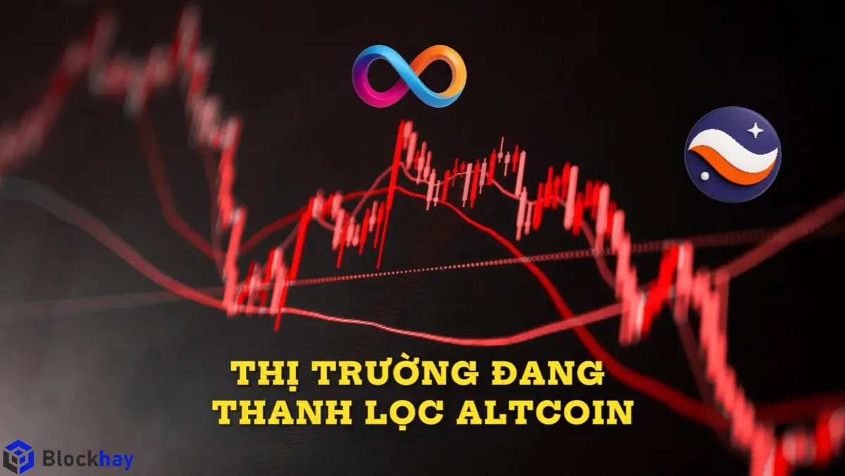 Vì sao hầu hết các đồ thị giá của Altcoin sẽ đều "đi vào lòng đất" trong dài hạn?