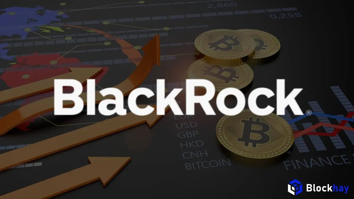 Giá vàng lao dốc, BlackRock cảnh báo kỷ nguyên tài sản số hóa đang đến gần Giá vàng lao dốc, BlackRock cảnh báo kỷ nguyên tài sản số hóa đang đến gần