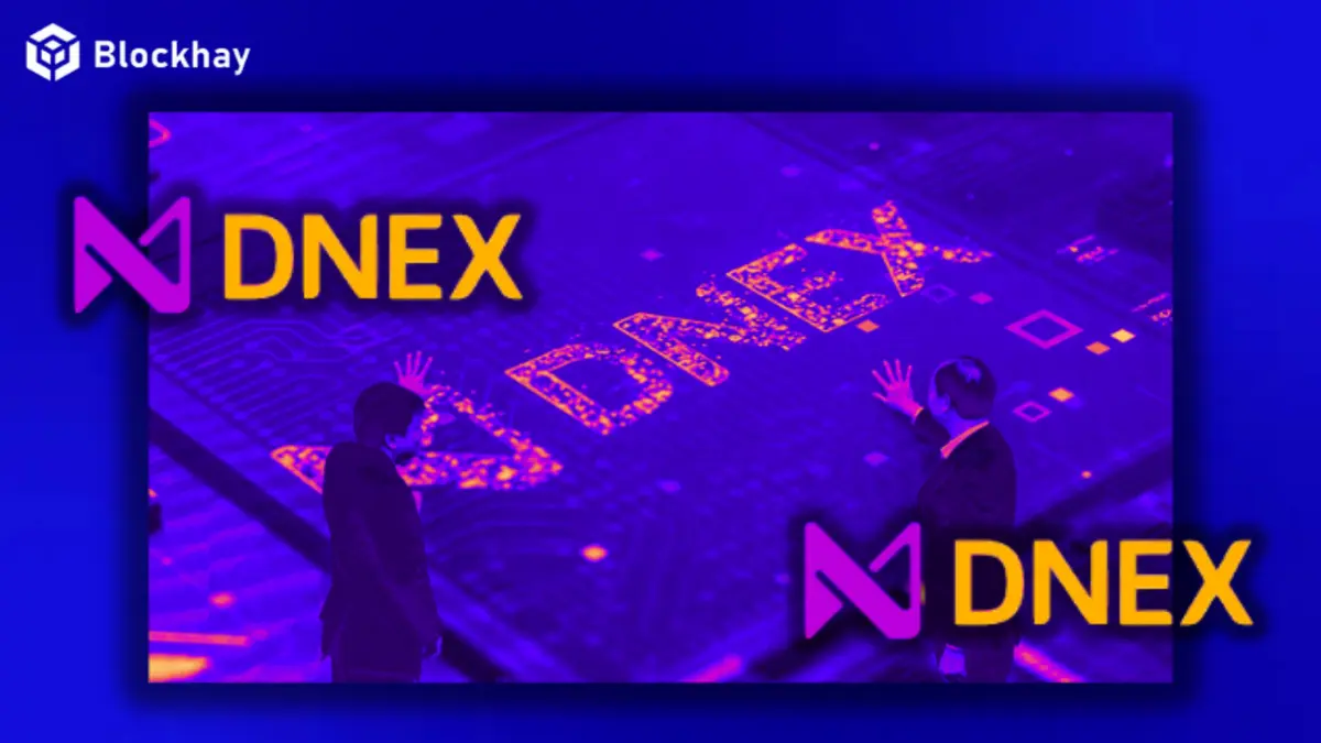 Lo-trinh-dat-quy-mo-10-nghin-ty-dong-cua-DNEX