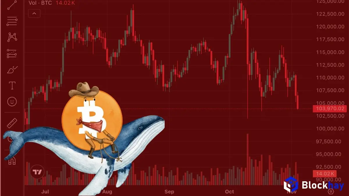 Thị trường crypto điều chỉnh: Bitcoin trượt xuống dưới 108.000 USD khi dòng tiền ETF suy yếu