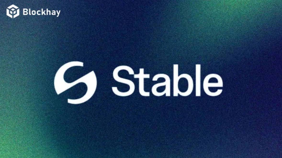 stable-layer-1-cho-stablecoin-khoi-chay-public-testnet