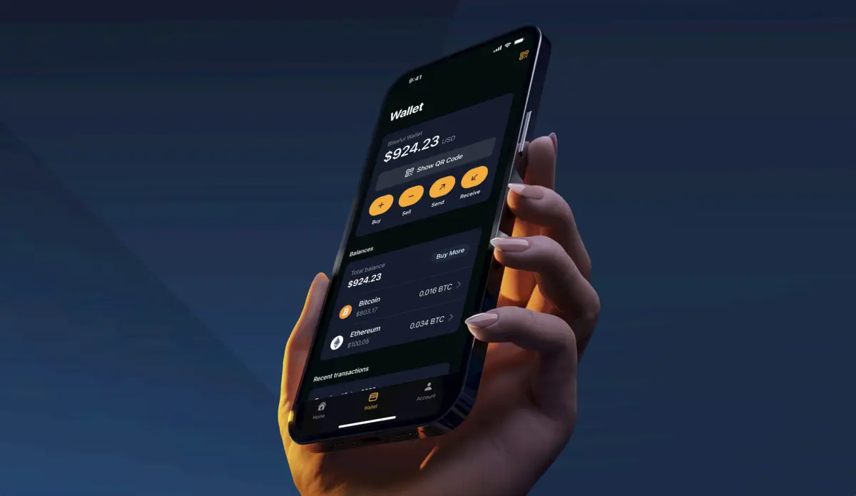 Ví Crypto là gì? Ví Crypto hoạt động như thế nào? blockhay