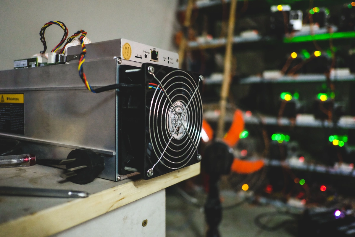 Trâu-đào-Bitcoin-thu-giữ