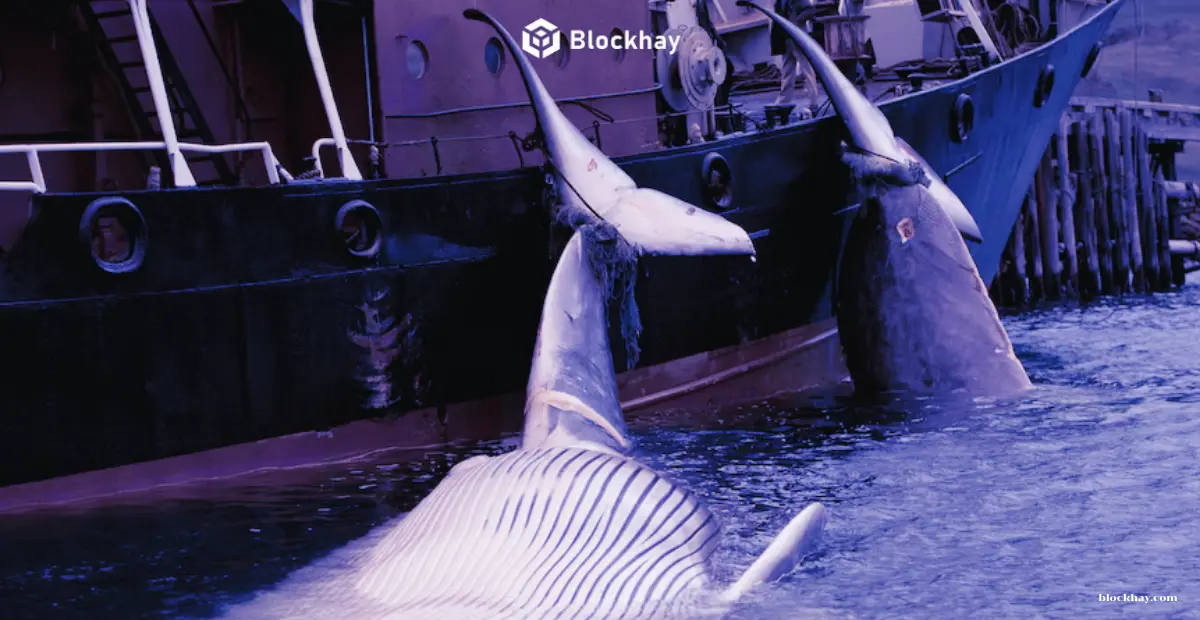 gia-danh-nhan-su-Trezor-de-lay-cap-292-trieu-usd-crypto-blockhay