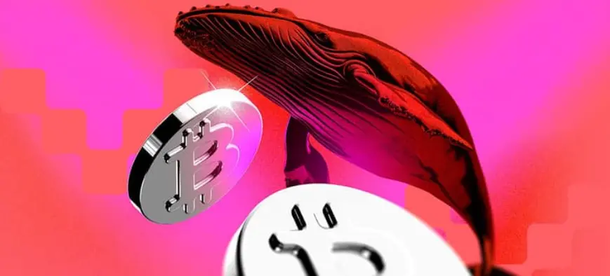 Cá-voi-Hyperliquid-cắt-lỗ-162-triệu-USD